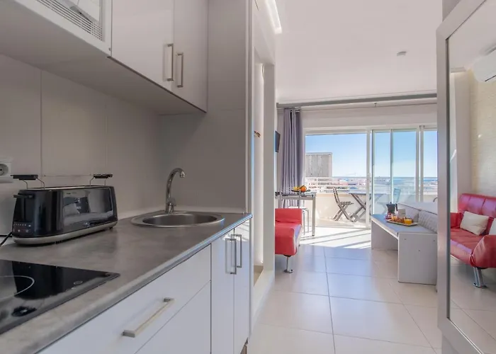 阿利坎特天窗公寓 *