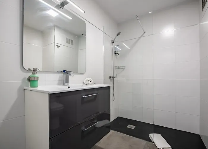 阿利坎特天窗公寓 *