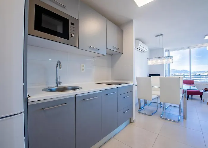 阿利坎特天窗公寓 *