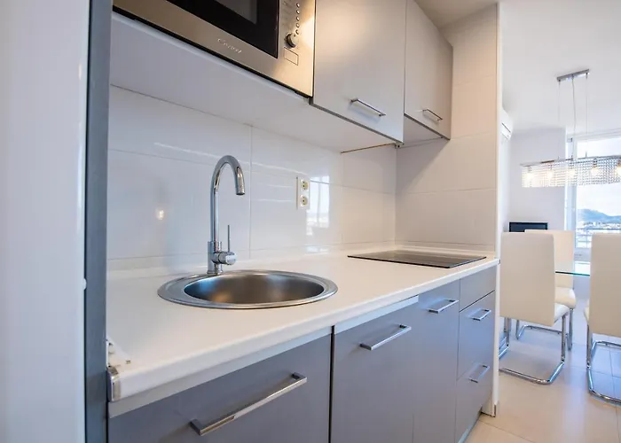 阿利坎特天窗公寓